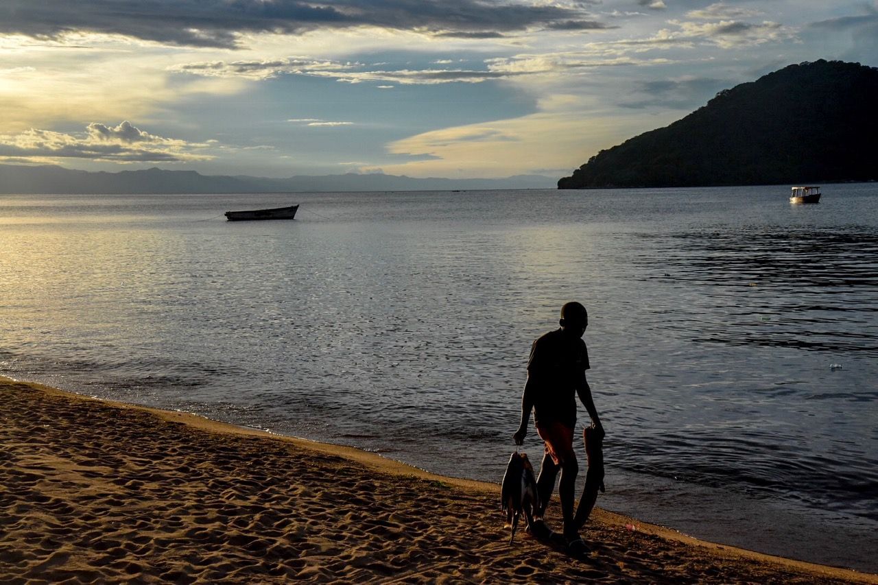 A man carrying fish along the shoreline at dusk
